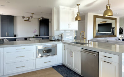 Coastal Modern Living: Full Home Remodel in San Clemente, California